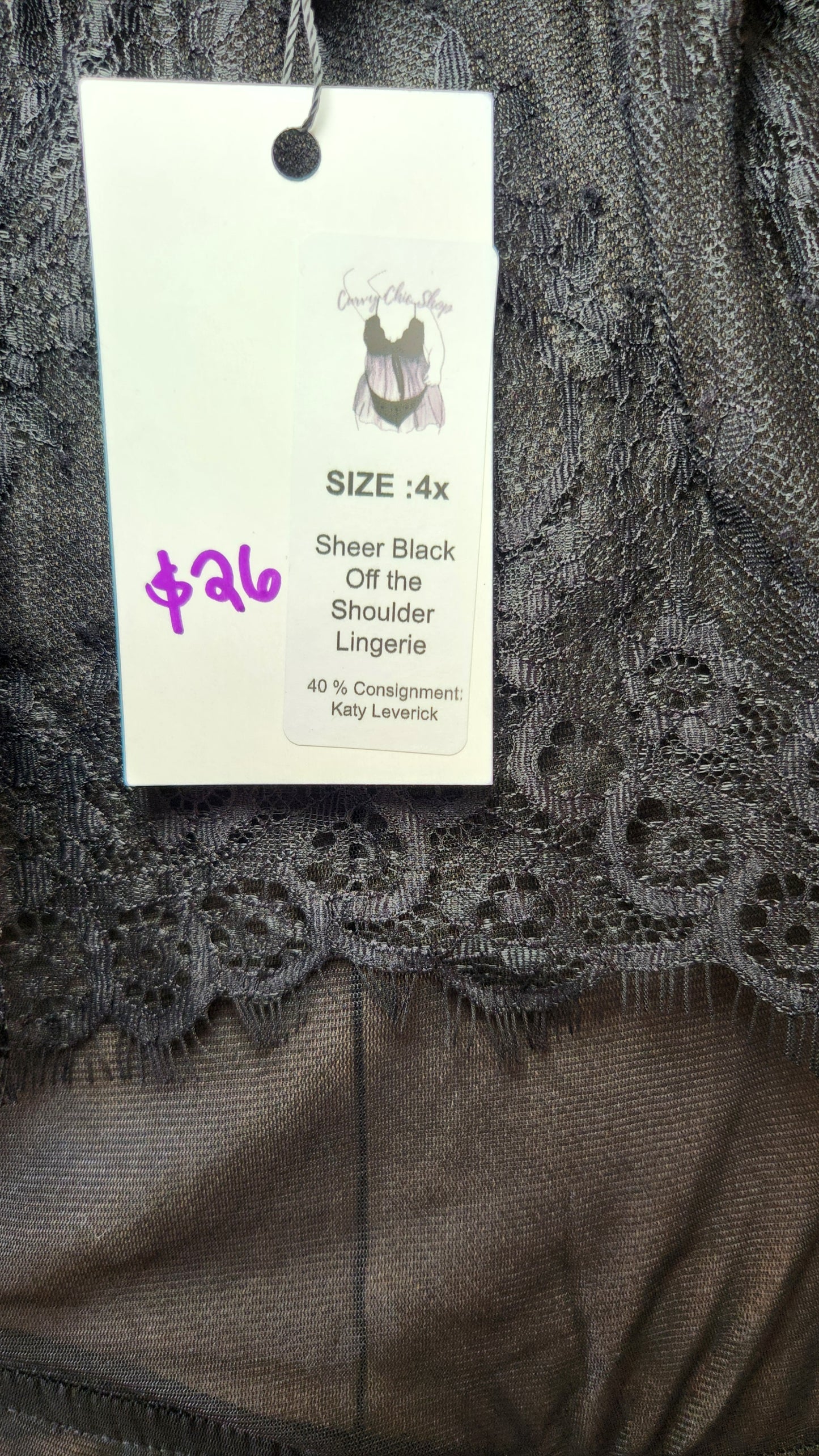 Size 4x Black Mesh and Lace Lingerie Dress